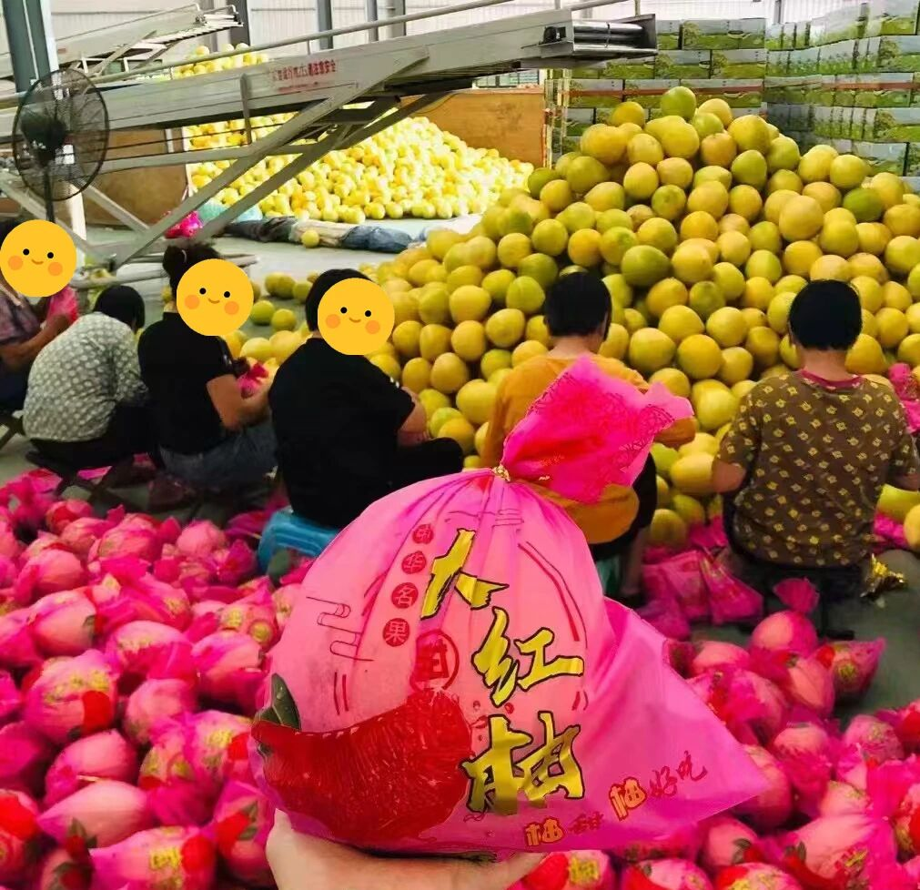 图片 2.png