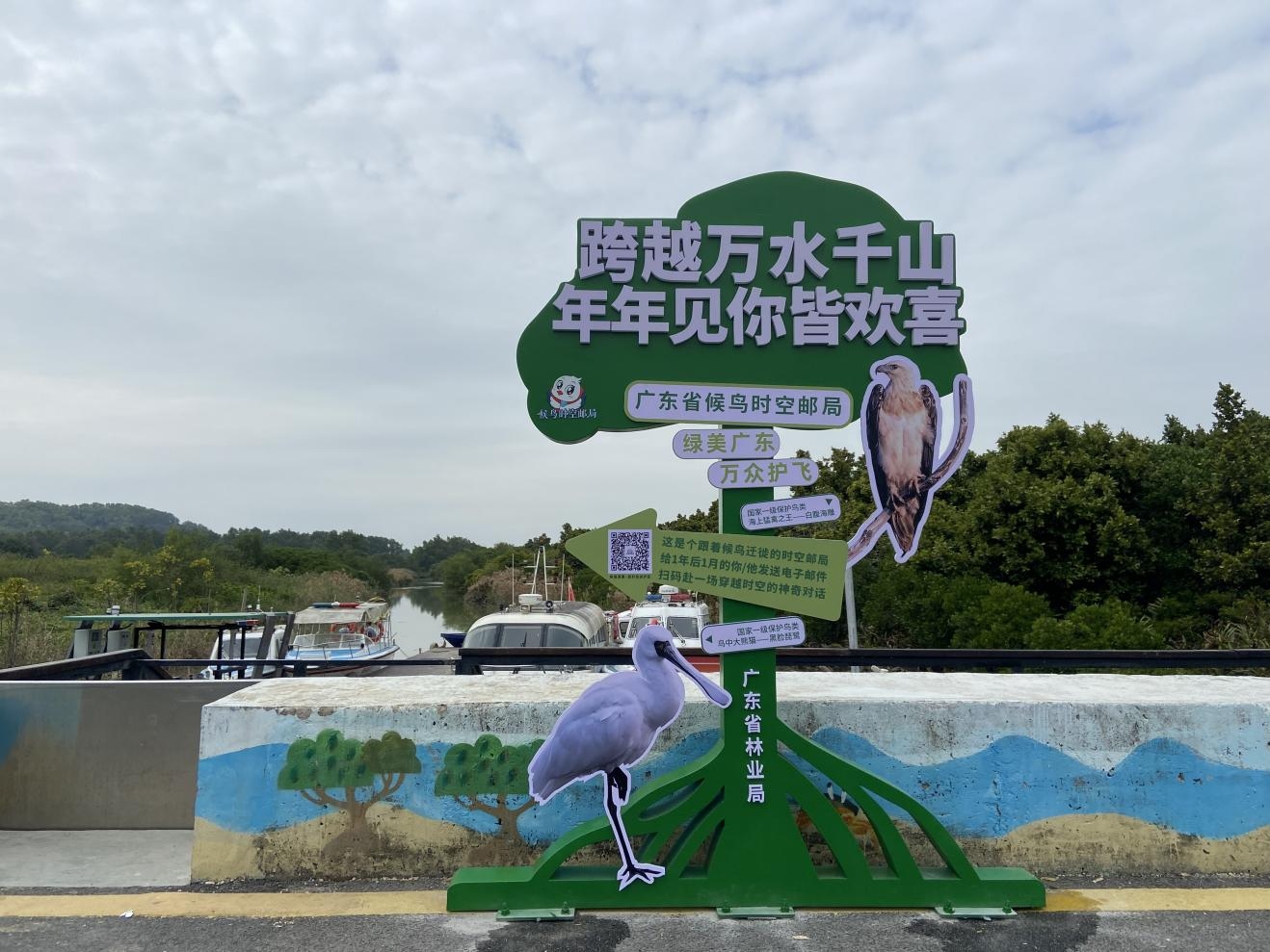 1772073541106761.jpg 图片 4.jpg