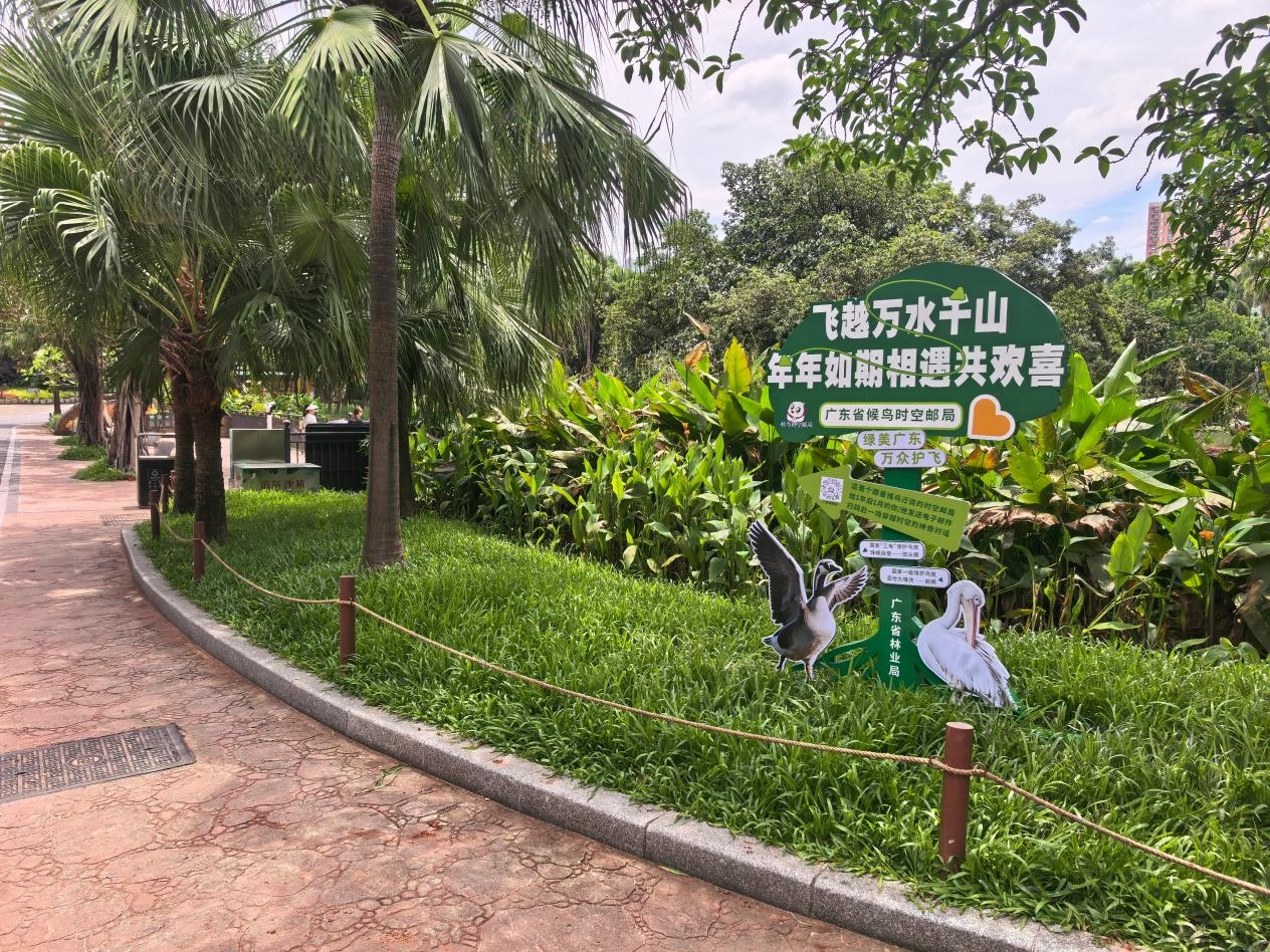 图片 3.jpg