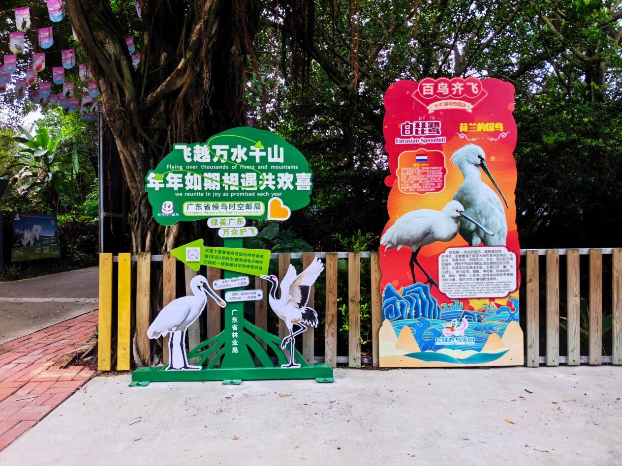 图片 5.jpg