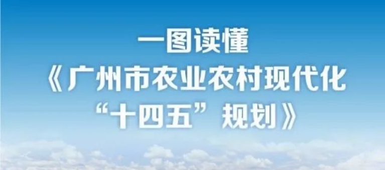 广州市农业农村现代化“十四五”规划发布，推动超大城市乡村振兴