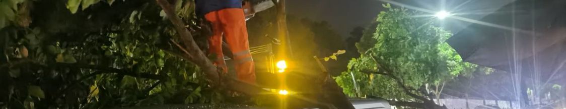 防抗台风“暹芭”，广州白云区绿化抢险65宗保障出行畅安