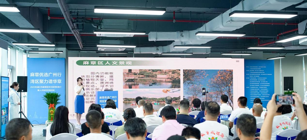 麻章优选广州行 湾区聚力谱华章 2025年湛江市麻章区农文旅湾区推介暨人才协作交流活动成功举办