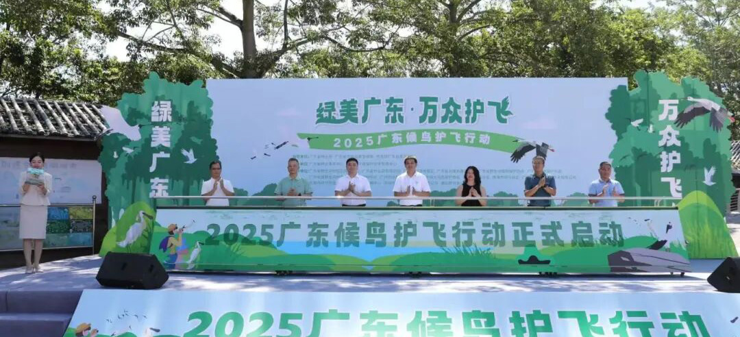 广东启动2025年候鸟护飞行动，广东省候鸟时空邮局联动万众共护候鸟迁飞通道