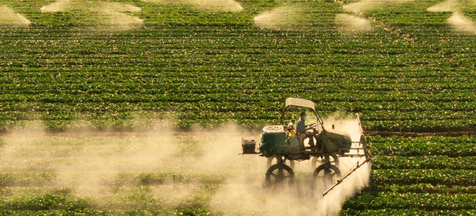 广东金融“活水”浇灌清远“五大百亿农业产业”，让“土特产”驶入“大市场”