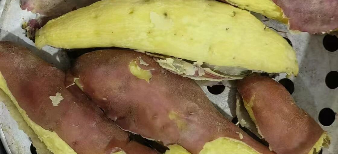 “薯光”照亮乡村振兴路，广东金融助力“小番薯”做成“大产业”