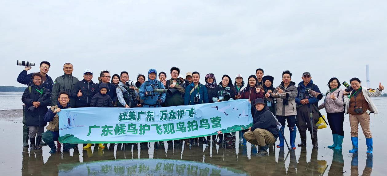 两人一“勺”添奇遇！广东观鸟拍鸟营湛江雷州邂逅15只极危勺嘴鹬