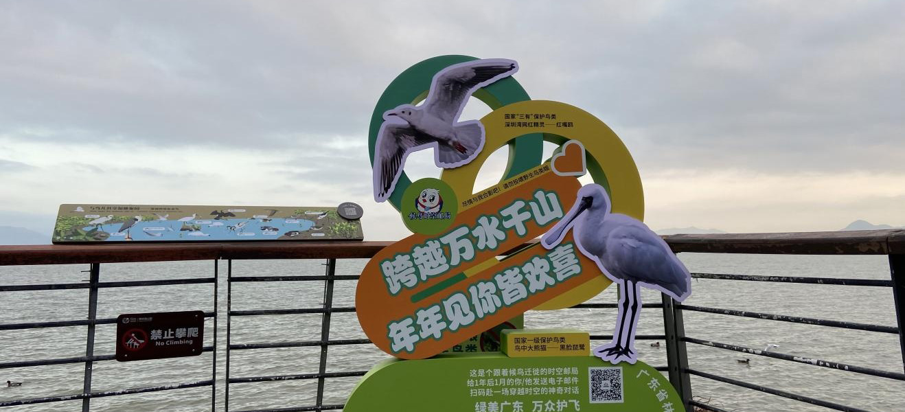 广东省候鸟时空邮局春节上新，候鸟捎福过大年