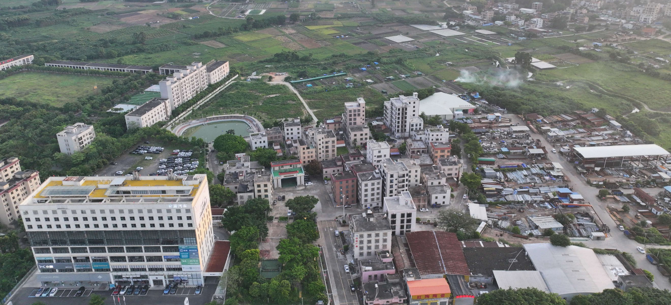 麻章区获评省“百千万工程”3个典型镇、23个典型村，白云帮扶绘就镇村振兴新画卷