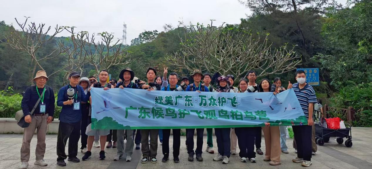 广东观鸟拍鸟营浔峰山探秘 “林间伪装大师”红角鸮惊喜现身